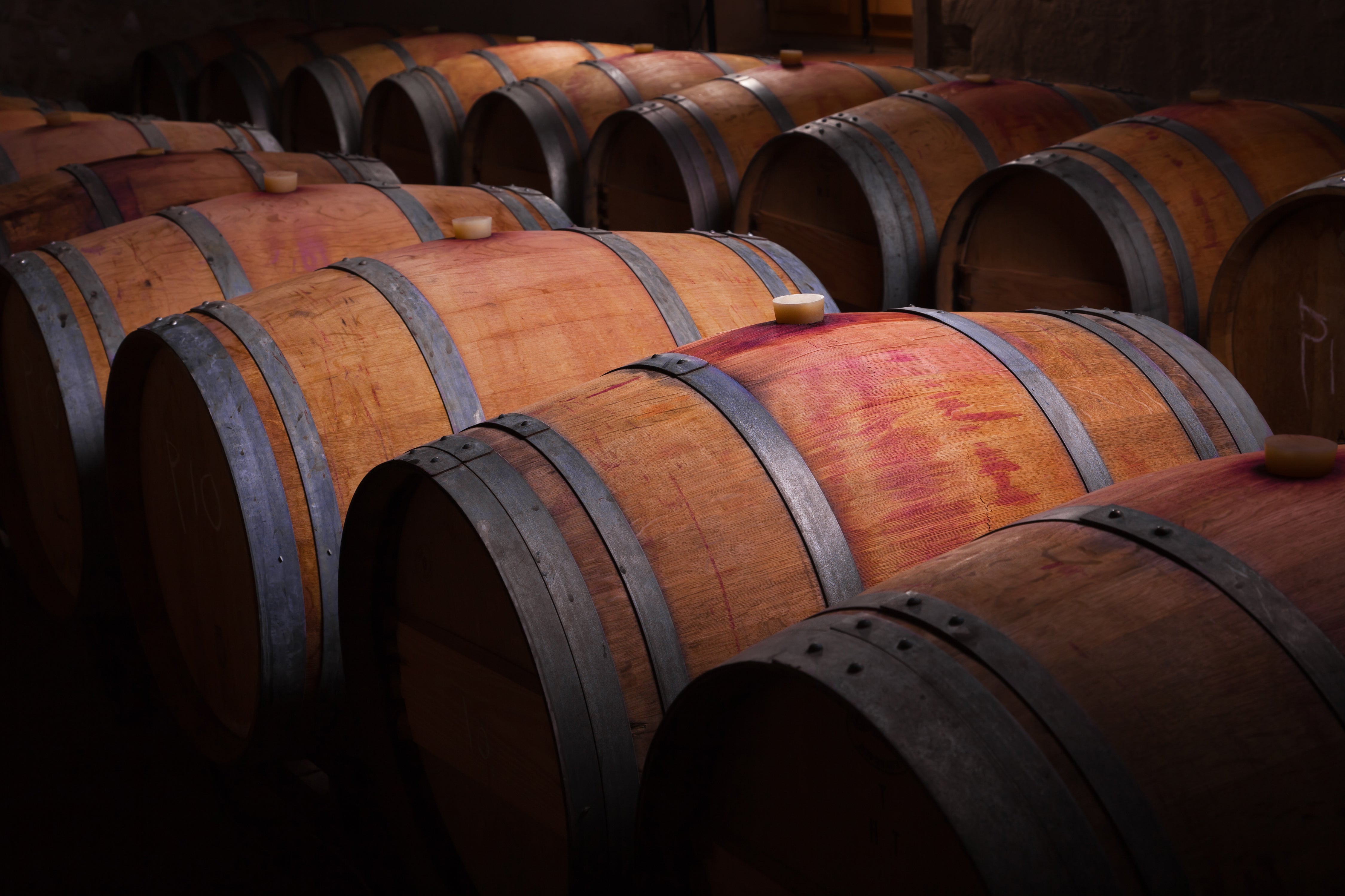 Cellar Door